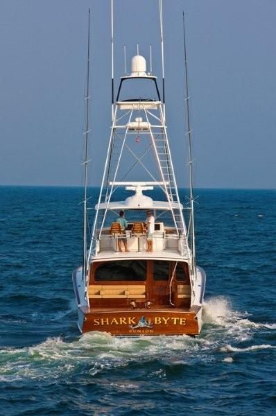 Shark Byte